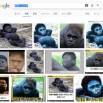 Google画像検索で「浜田　ゴリラ」と検索した検索結果